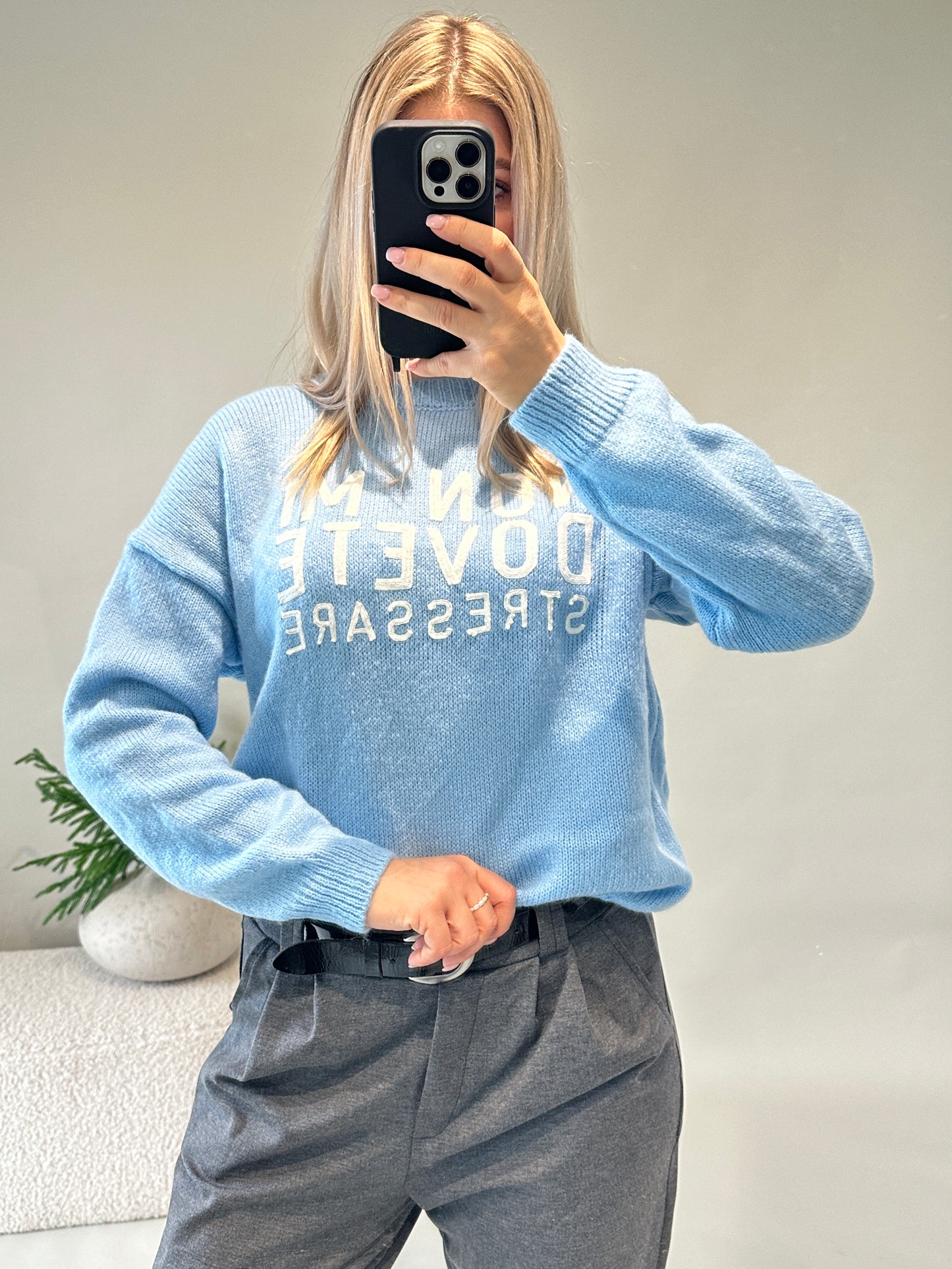 pullover in hellblau mit wollweißer aufschrift ( non mi dovete )