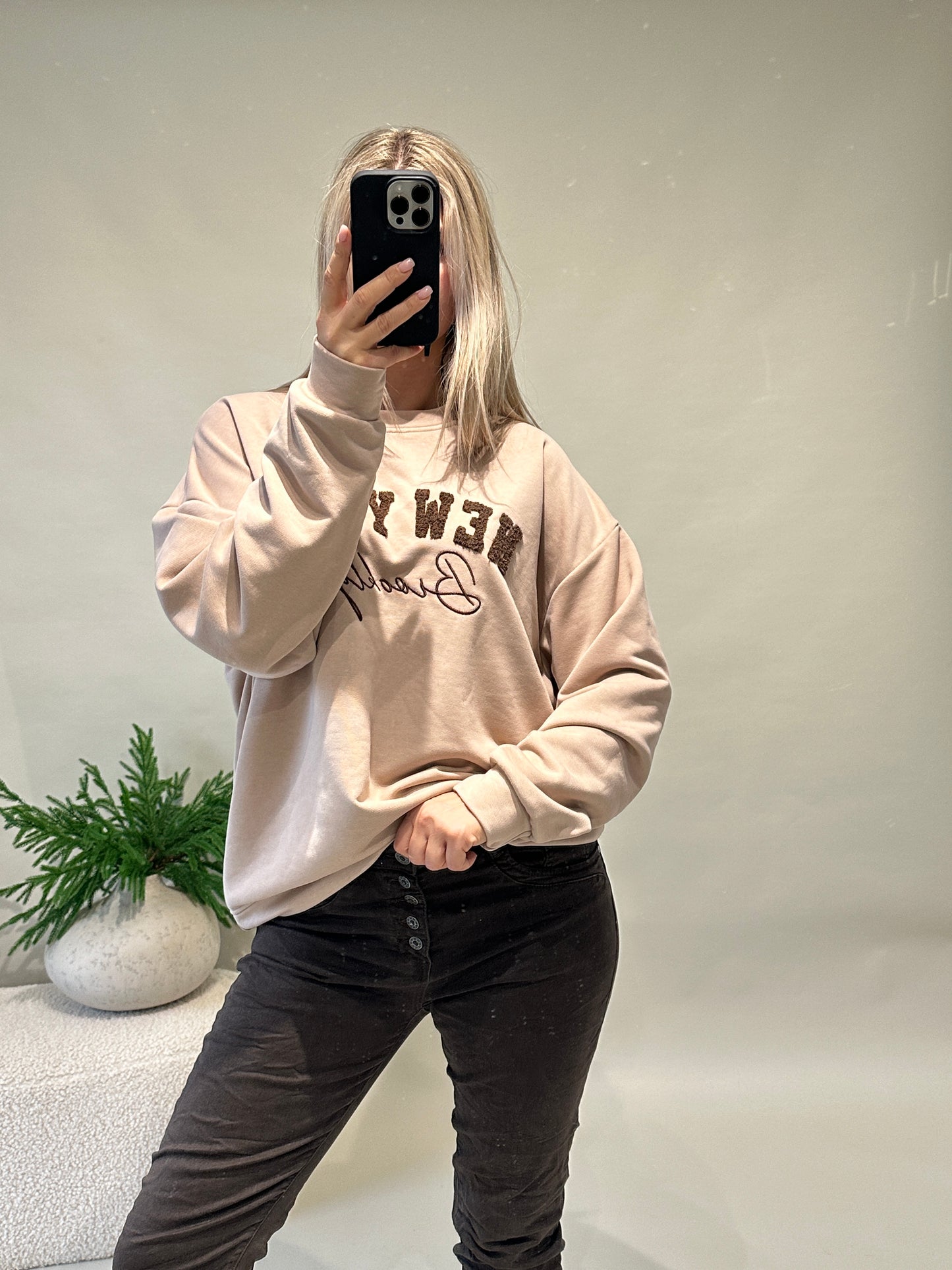 pullover in beige mit aufschrift in schokobraun (new york)