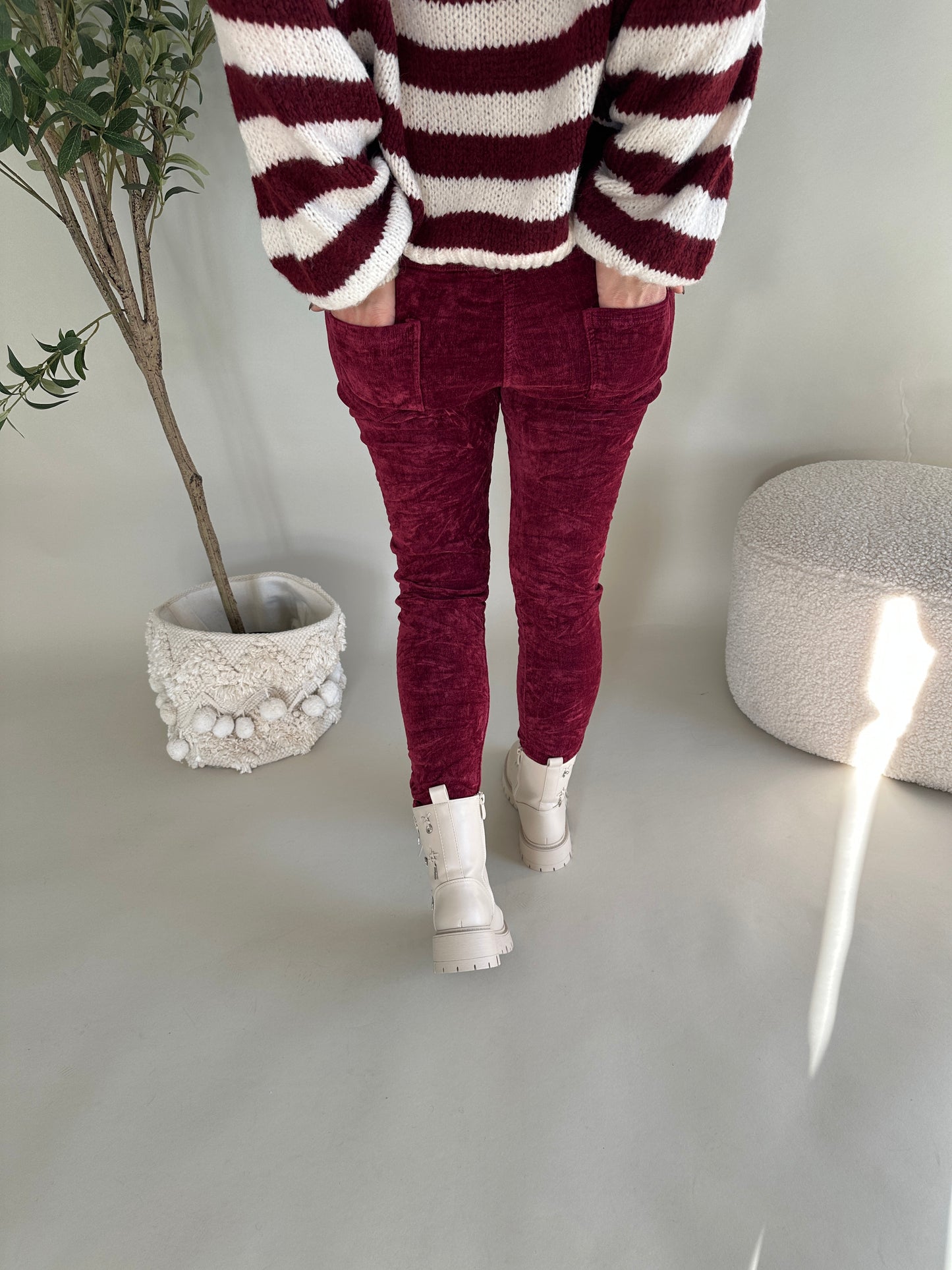 hose in bordeaux  samt-optik