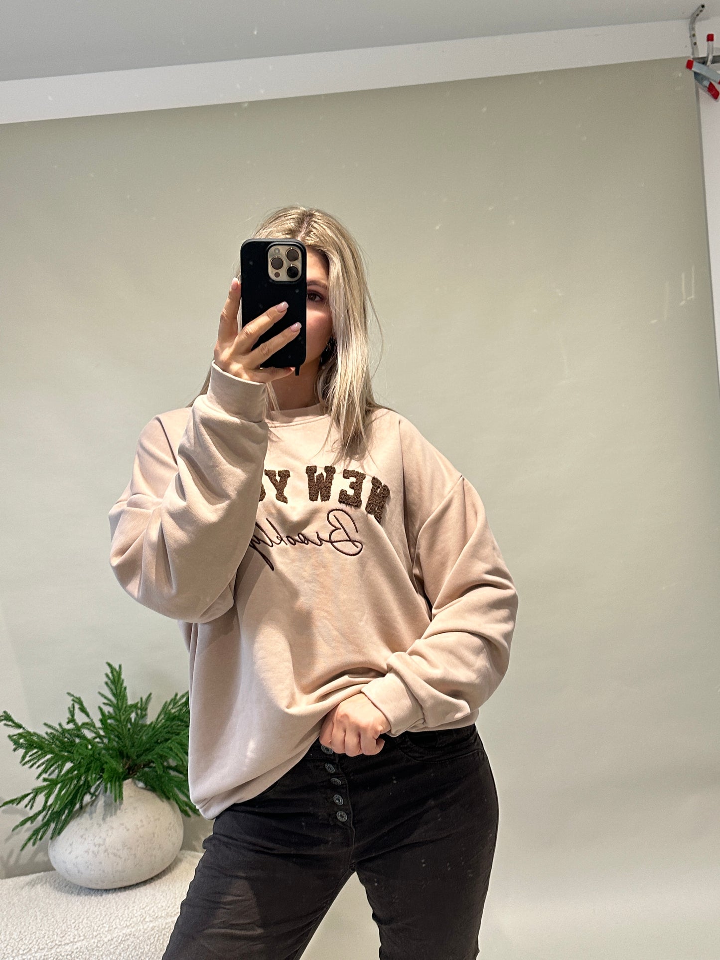 pullover in beige mit aufschrift in schokobraun (new york)