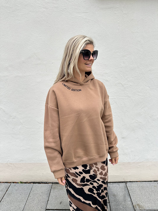 Pullover mit Kapuze in Cognac