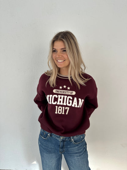 Pullover in Bordeauxrot und Beige