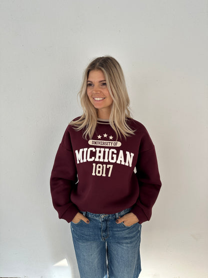 Pullover in Bordeauxrot und Beige